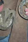 Shoes Pulled